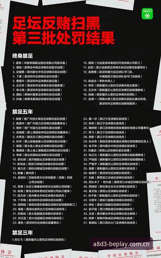 足协第三批禁足名单解读：65人受罚背后的行业整顿实用指南